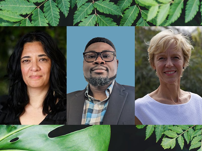 Headshots of three people on a leafy green background.