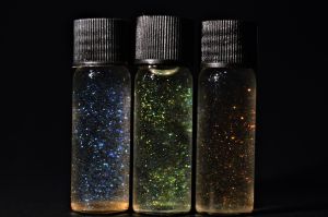 Image credit: University of Cambridge