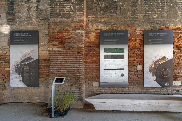  An installation of urban city drawings displayed against a brick wall of a building. 