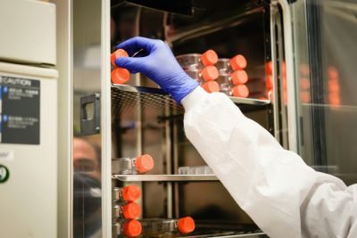 Funding will support research across the university and our partner organisations.
