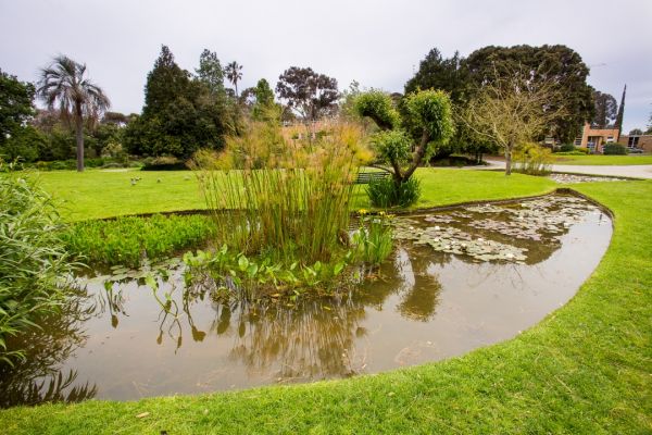 Burnley Campus Lily Pond
