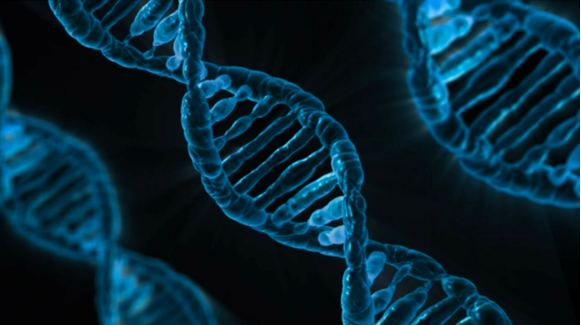 Graphic illustration of a double helix.