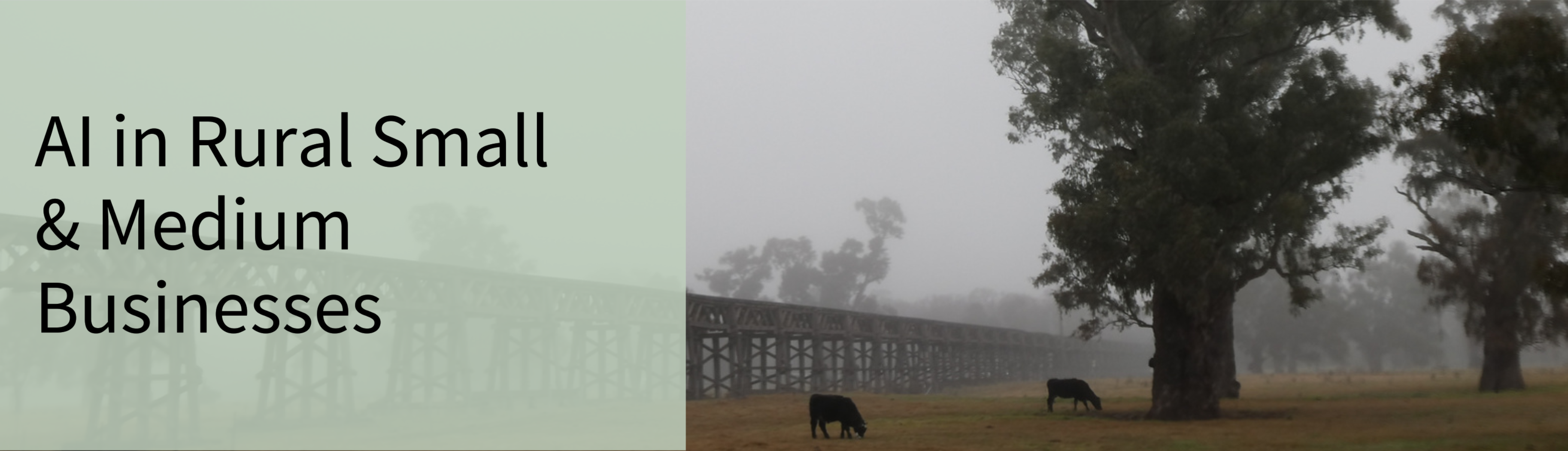 Banner depicting rural Australian scene with caption "AI in Rural Small & Medium Businesses"