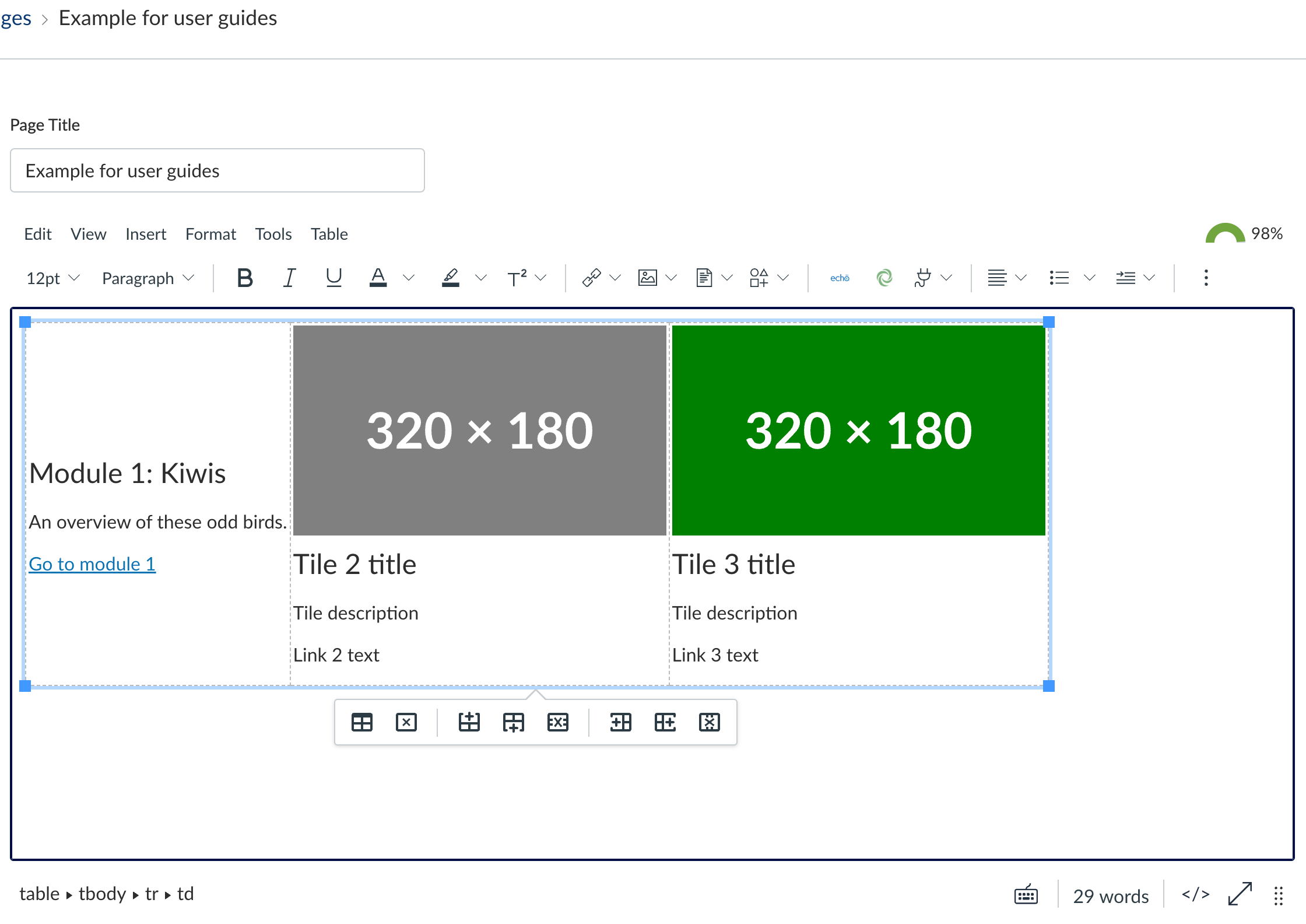Figure 8.5: Deleting the image Screenshot of Canvas interface - placeholder image deleted from table