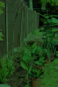 A tinted image of a garden that is potted and planted 