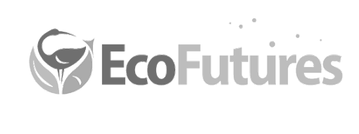 Eco Future Logo