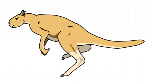 Image for Jumping giants: Fossils show giant prehistoric kangaroos could hop 