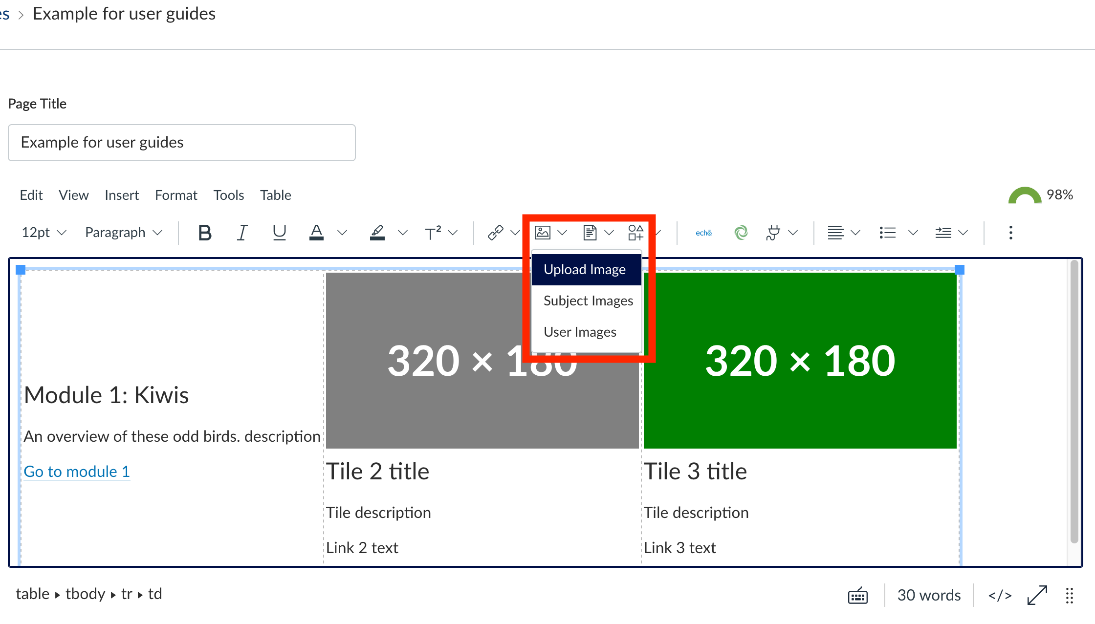 Figure 8.6 : Location of images menu Screenshot of Canvas interface - location of images menu