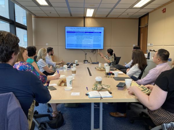 2024 City Diplomacy Masterclass Meeting