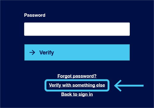 SSO screen asking for password and a link to verify with something else