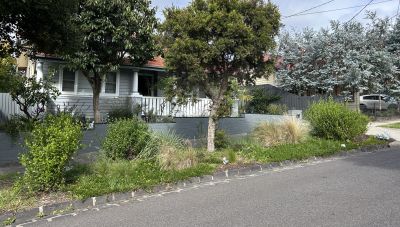 A nature strip with an established garden. Picture: Philippa Bell