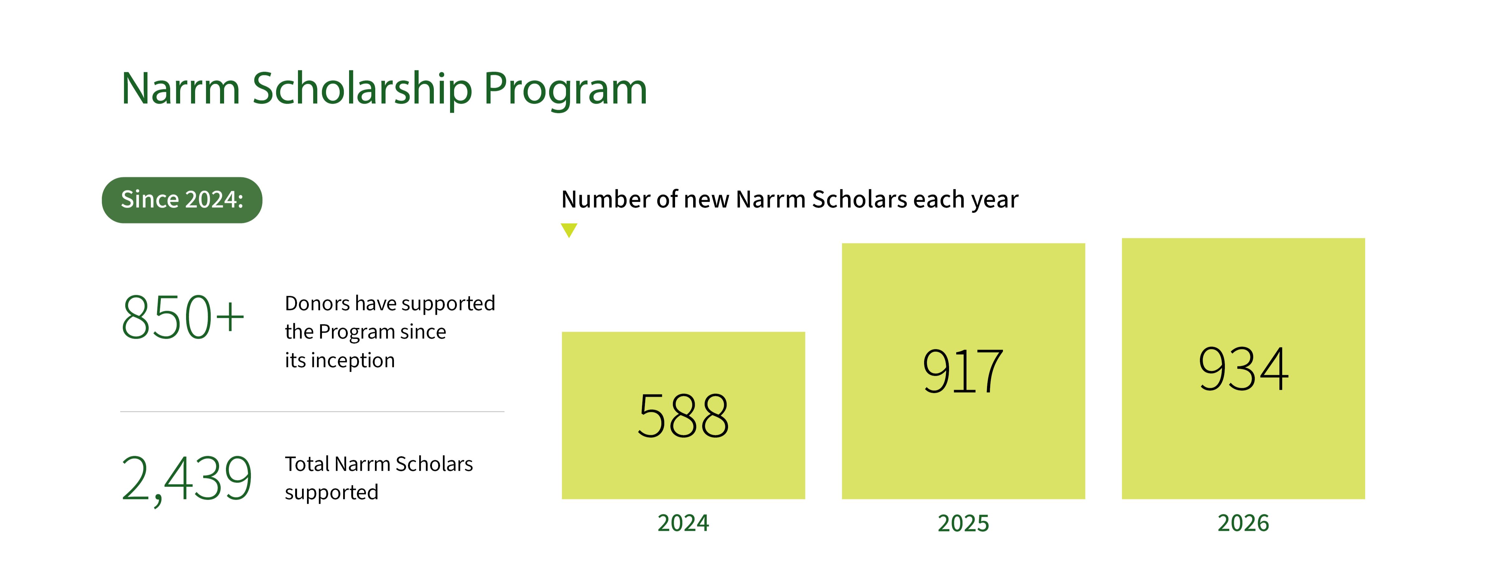 Bar chart illustrating the number of students awarded the Naarm Scholarship Program over a specified time period.