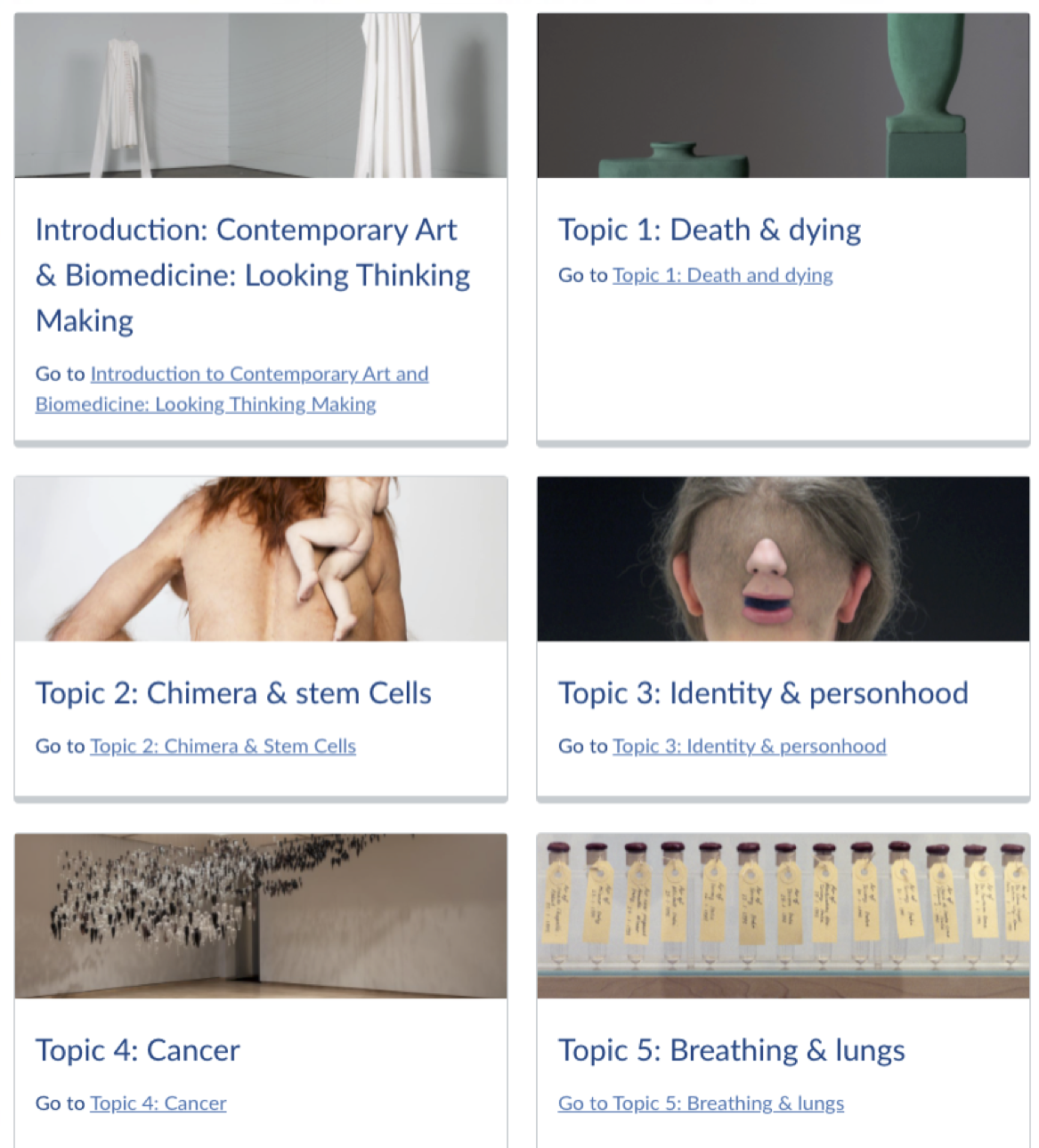 Excerpt from Contemporary Art and Biomedicine: Looking Making Thinking LMS home page