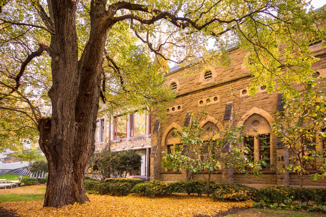 University of Melbourne campus covered with autumn leaves
