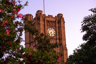The clocktower at the University of Melbourne, with pink flowers in the foreground