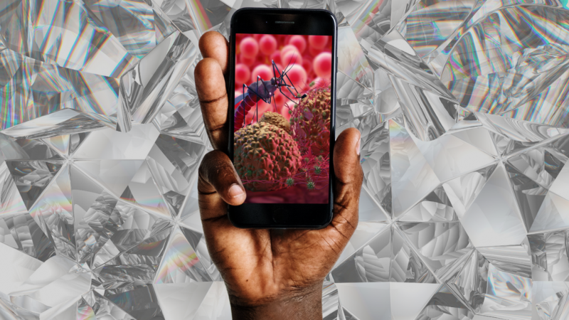 A hand holding a smartphone in front of digitally created crystal imagery, with a photo of a mosquito on the phone screen