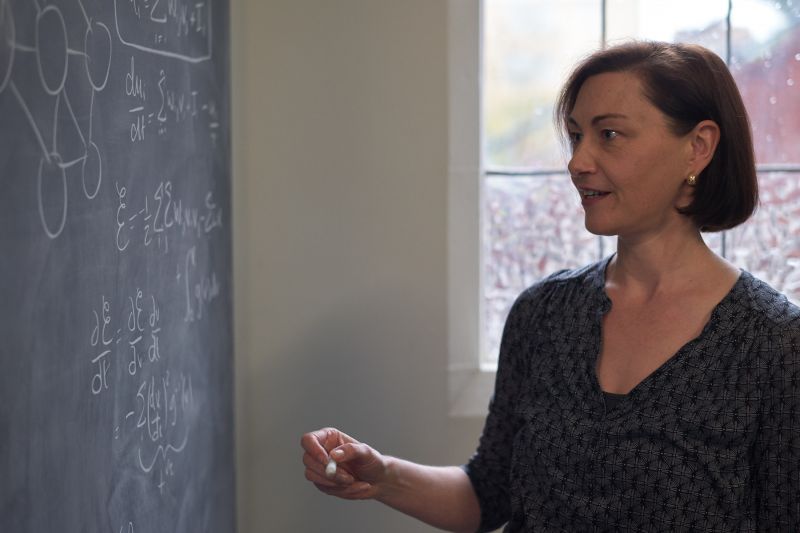 Professor Kate Smith-Miles in front of a blackboard with mathematical equations written on it.