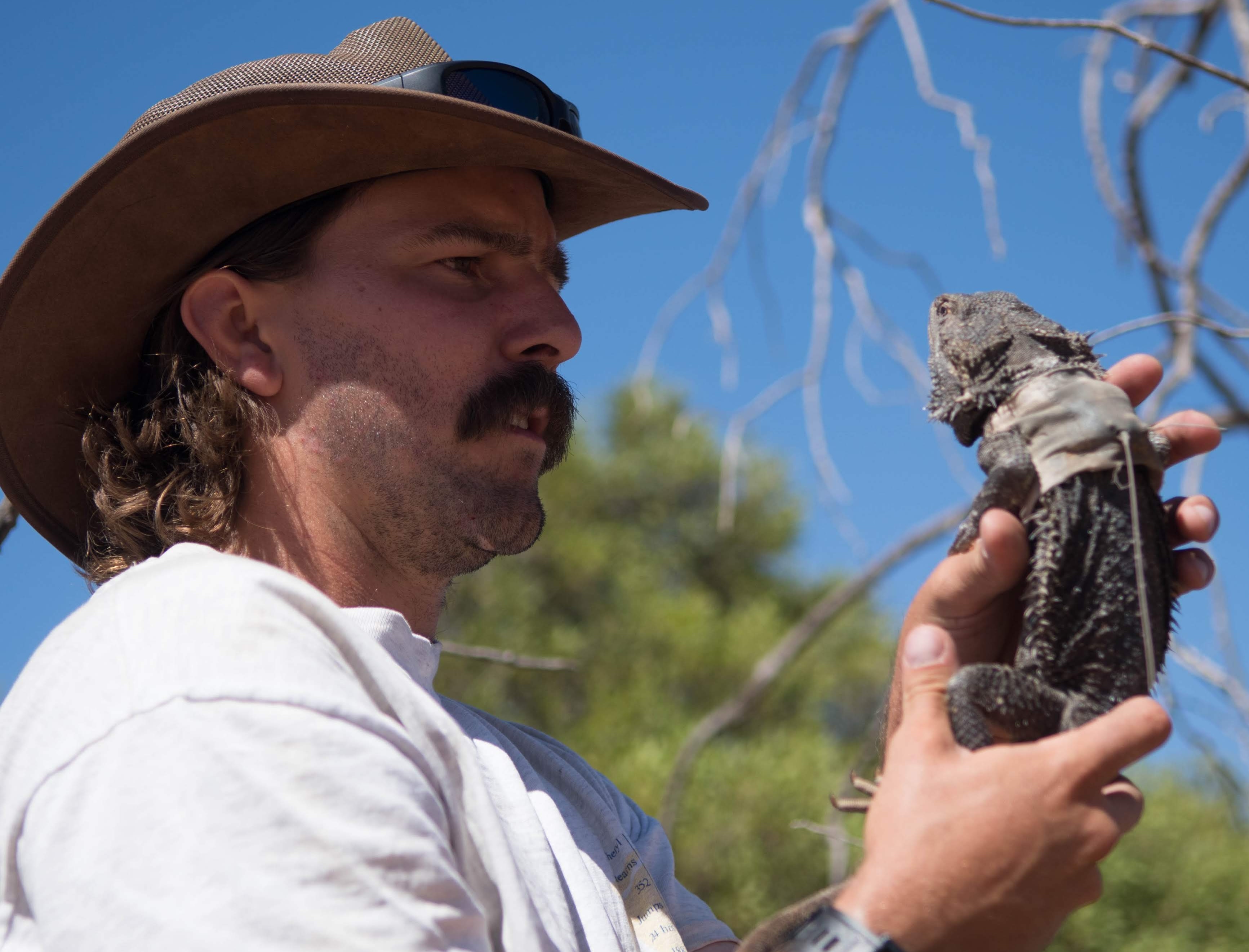 Researcher holding a bearded dragon