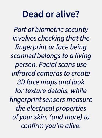 Callout box: Part of biometric security involves checking that the fingerprint or face being scanned belongs to a living person. Facial scans use infrared cameras to create 3D face maps and look for texture details, while fingerprint sensors measure the electrical properties of your skin, (and more) to confirm you&rsquo;re alive.