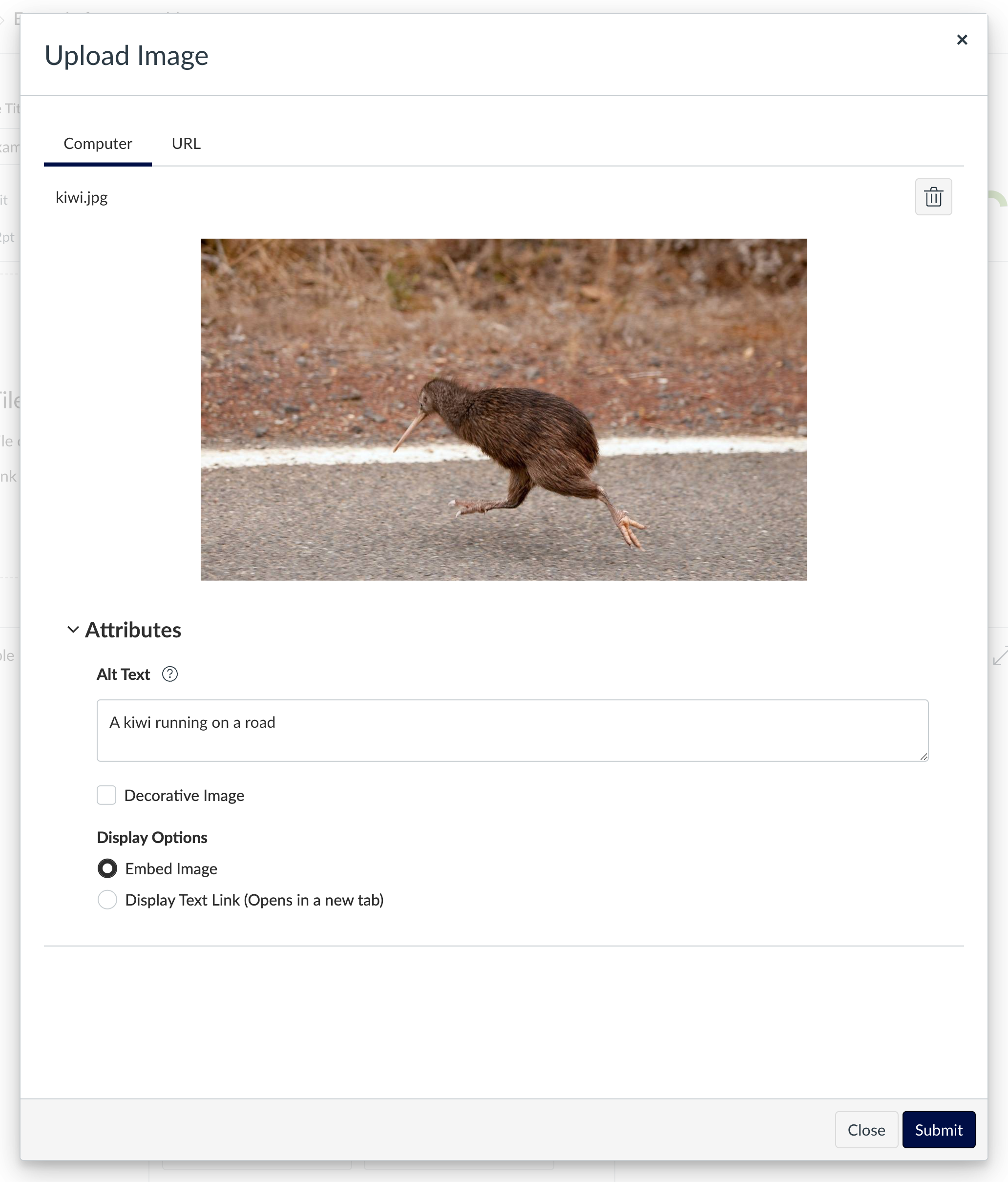 Figure 8.7: Adding the new image, with alt text added Screenshot of Canvas interface - upload image window