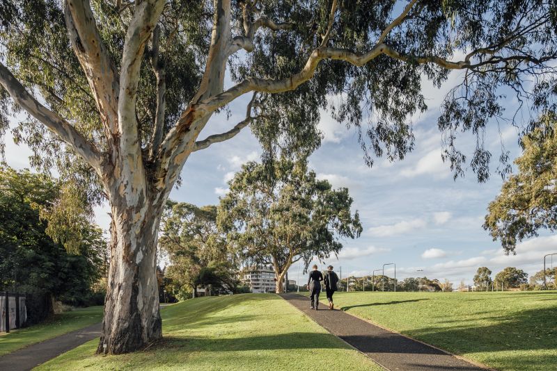 Two people walking along a path through a grassy park with eucalyptus trees