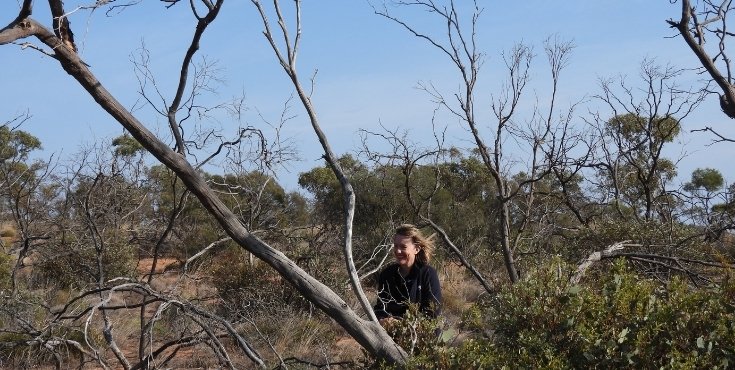 Kate watching birds in the Australian bush