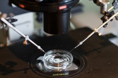 New analysis finds many IVF add-ons lack strong evidence of improving fertility outcomes. Image: iStock