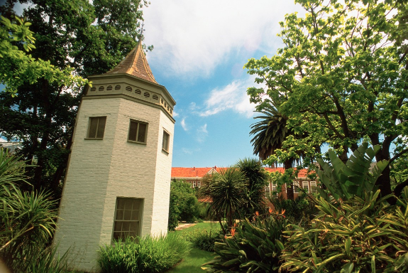 Royal botanical garden Melbourne