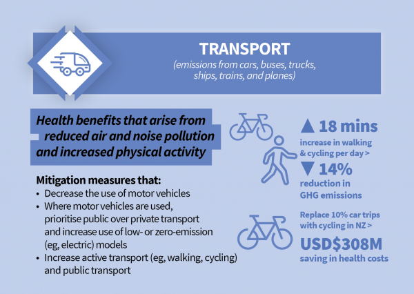Health benefits of transport sector climate change mitigation measures