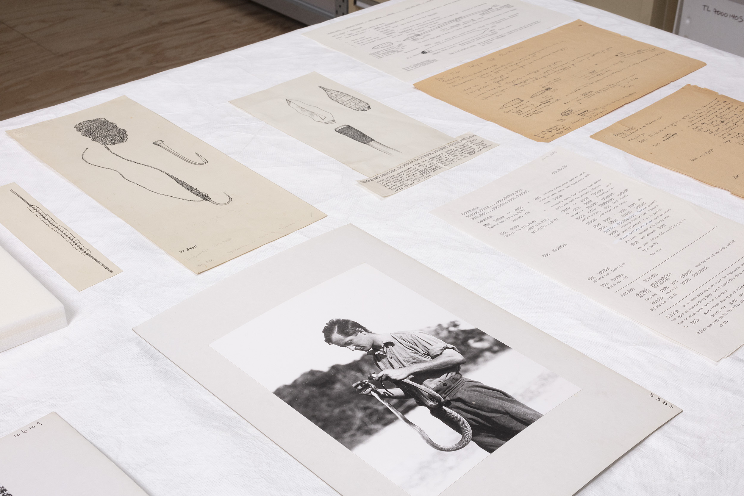 Photographs, illustrations and fields notes from the Donald Thomson Collection, part of the Indigenous Art and Culture Collection, University of Melbourne. Gift of Mrs Dorita Thomson, Elaine Thomson and Dorita Louise Fergusson Officer, in recognition of Professor Donald Thomson OBE (donated), 1973 and 2024
