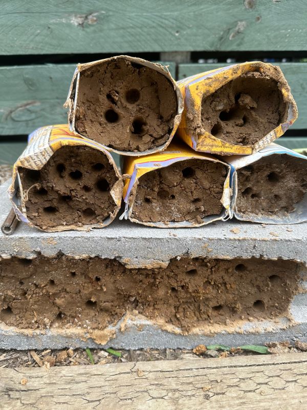 Bee hotels
