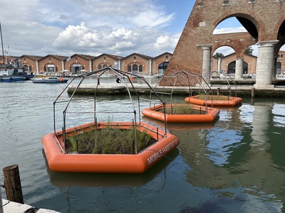 A collection of orange floating planters arranged in a serene body of water. 