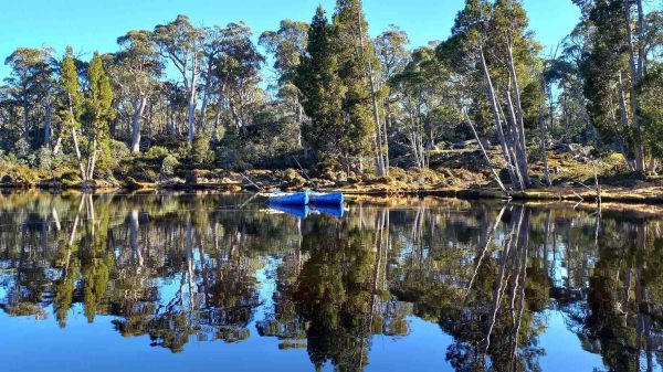 two canoes floating on a lake surrounded by trees