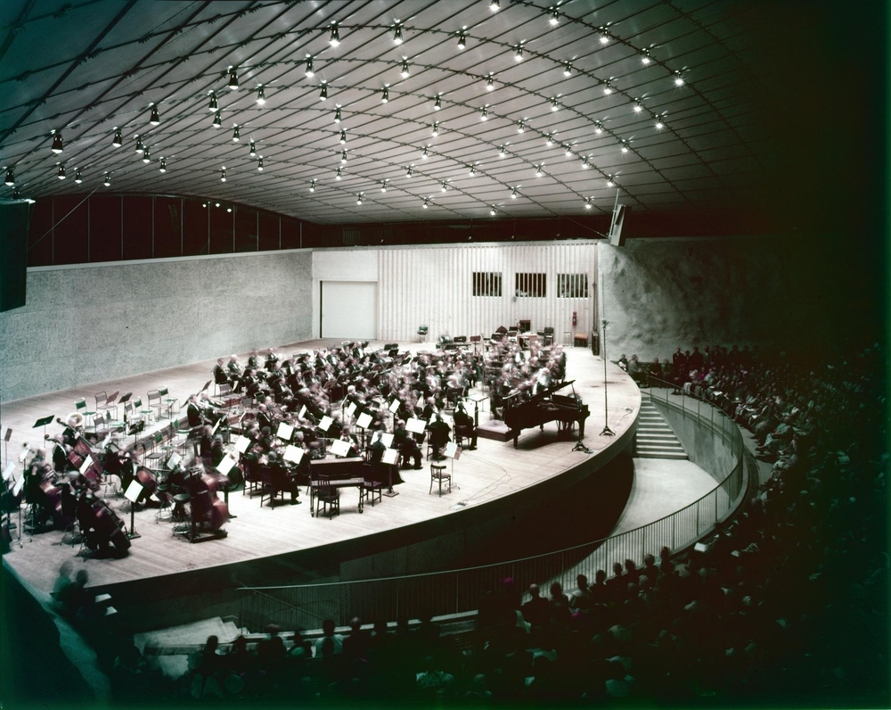 Musicians of an orchestra are performing in a grand auditorium.