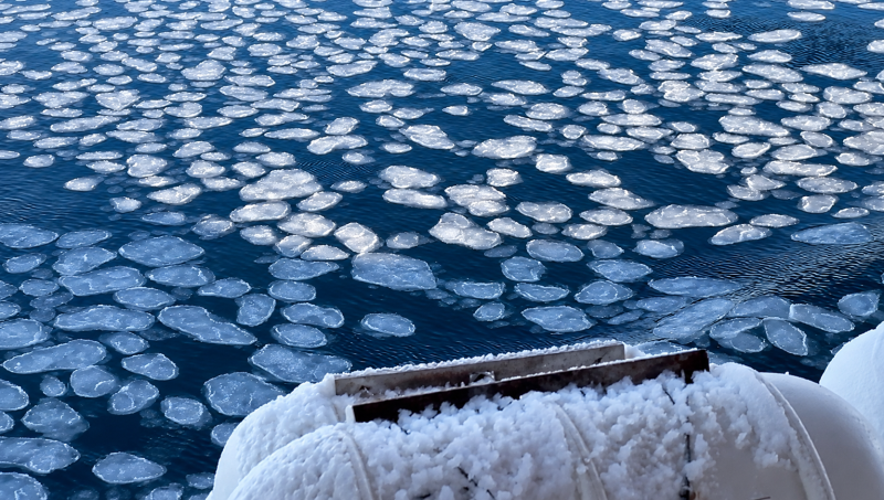 Sea Ice pancakes in the Southern Ocean as captured in a recent expedition in early 2026.