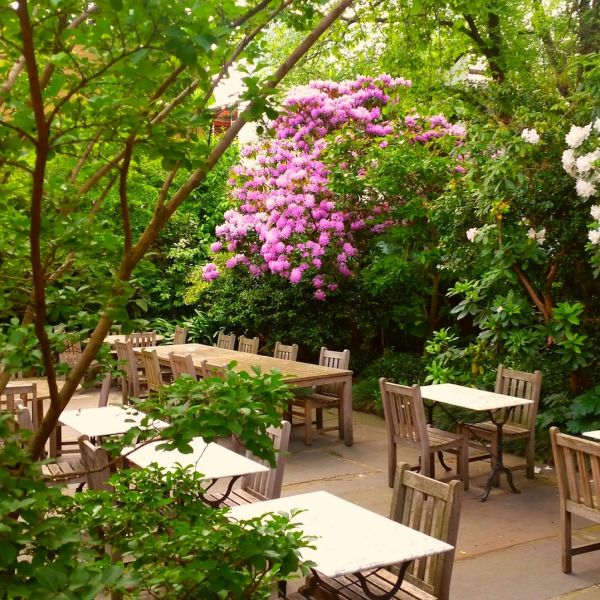 Garden at University House