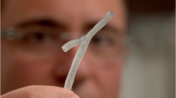 Peter Barlis holding a 3D printed artery close up