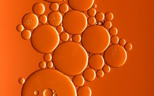cells