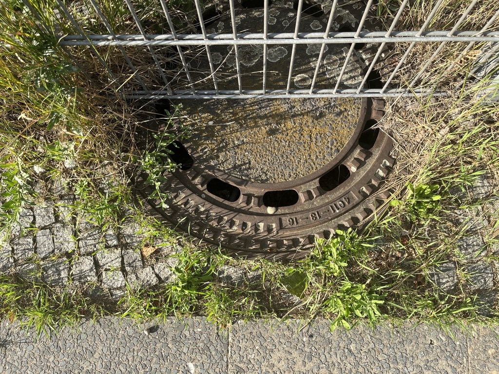 Grate between a fence with grass growing long.