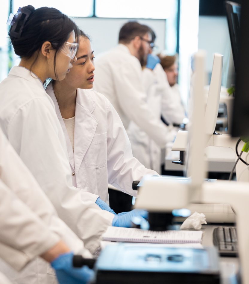 Students in lab