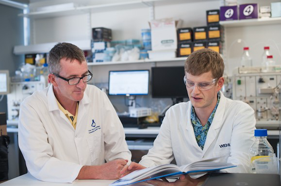 Researchers in WEHI