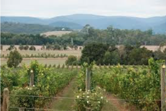 Victoria's Goulburn Valley