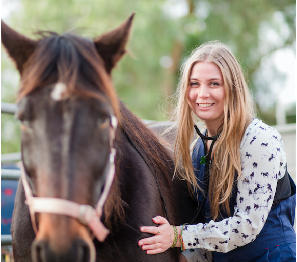 Image of a rider with a horse.