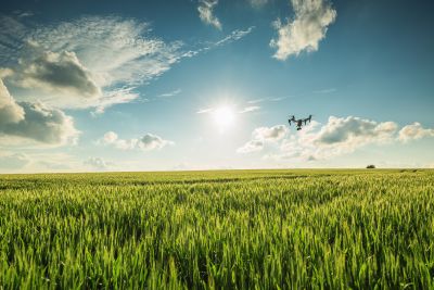 Drone flying over pasture.