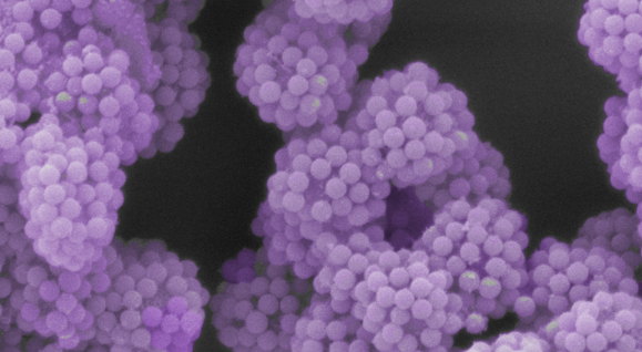 Nanoscale engineering transforms particles into lego-like building blocks