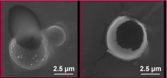 Image of micro-balloons from an electron microscope.