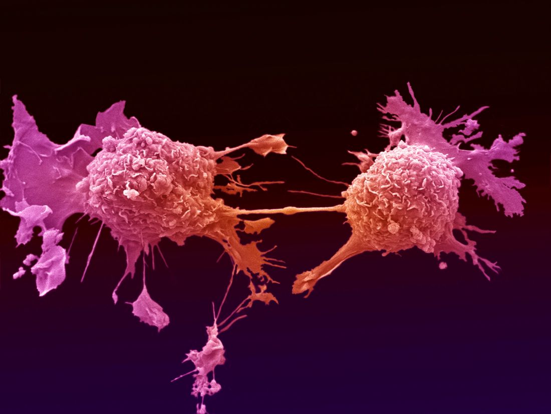 Cancer addiction cells 