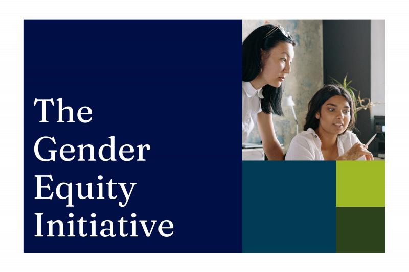 The Gender Equity Initiative