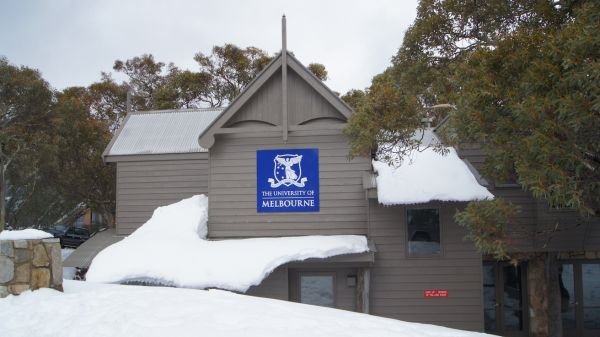 Alpine lodge v2