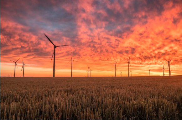 Image of windmills.